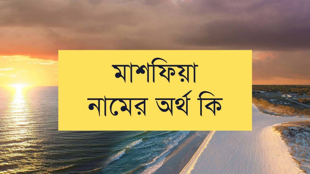 মাশফিয়া নামের অর্থ কি (যে কারনে সবচেয়ে গ্রহনযোগ্য এটি) - মার্কেট গ্লেম