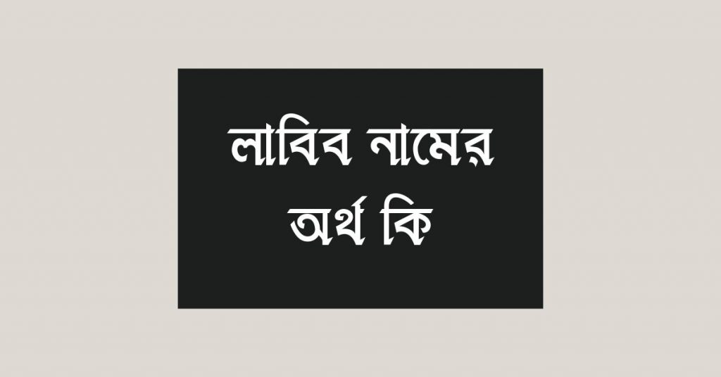 লাবিব নামের অর্থ কি