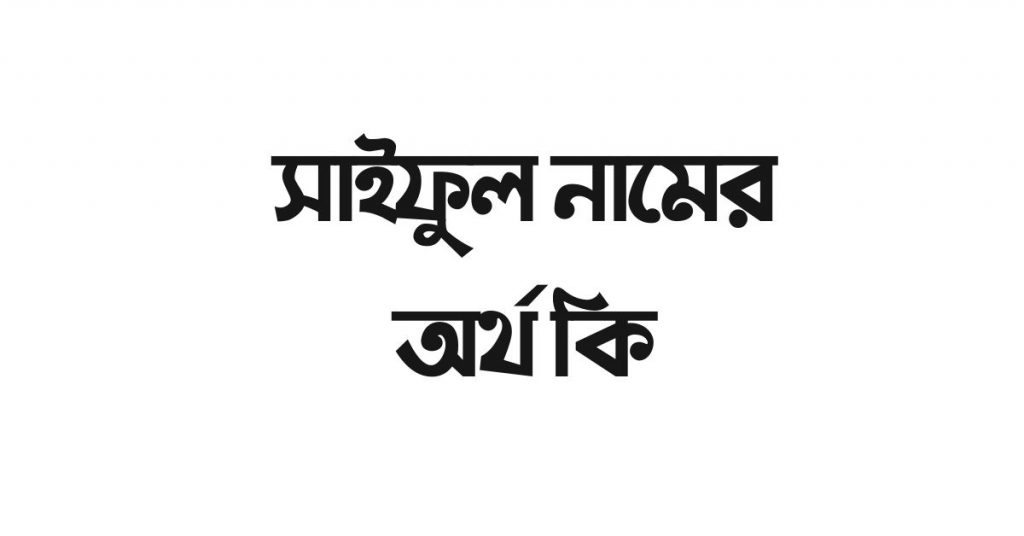 সাইফুল নামের অর্থ কি