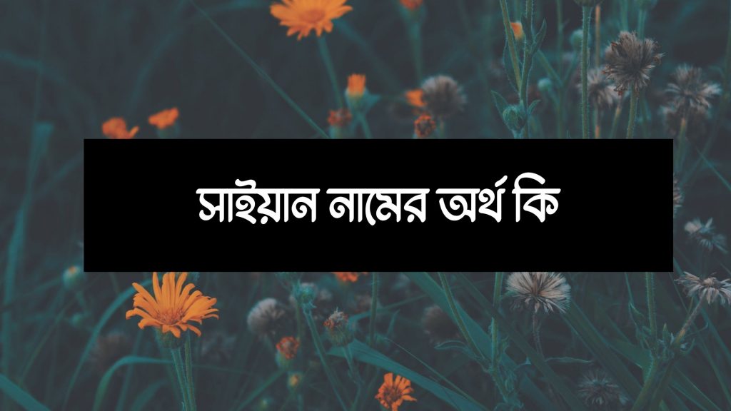 সাইয়ান নামের অর্থ কি (পুরো নামের সাজেশন সহ) - মার্কেট গ্লেম