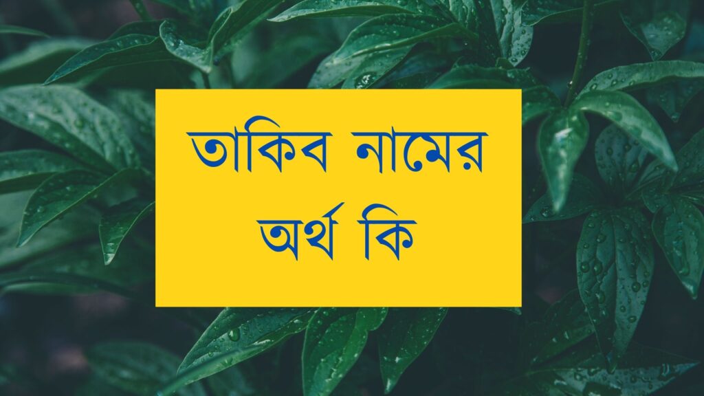 তাকিব নামের অর্থ কি