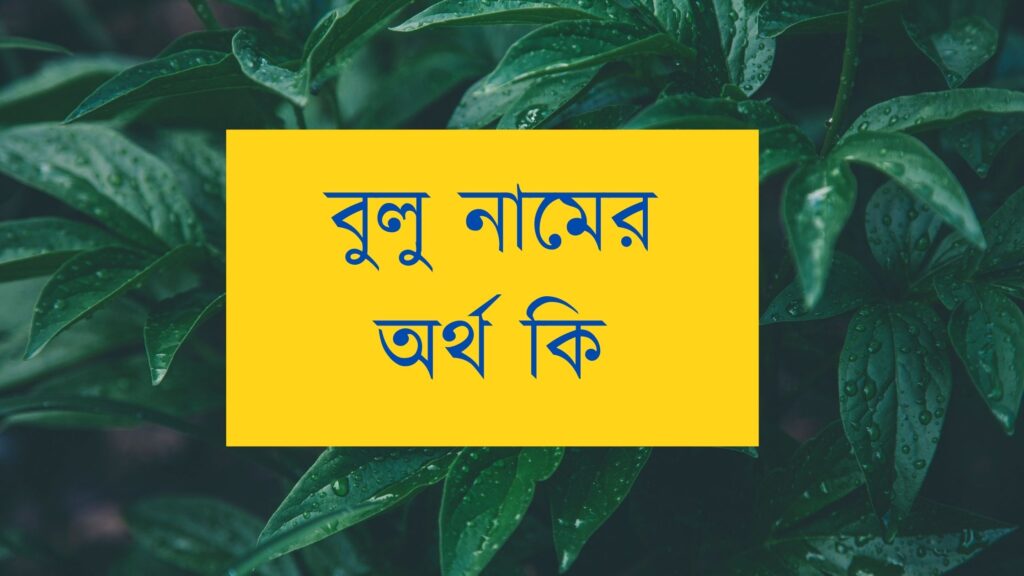 বুলু নামের অর্থ কি