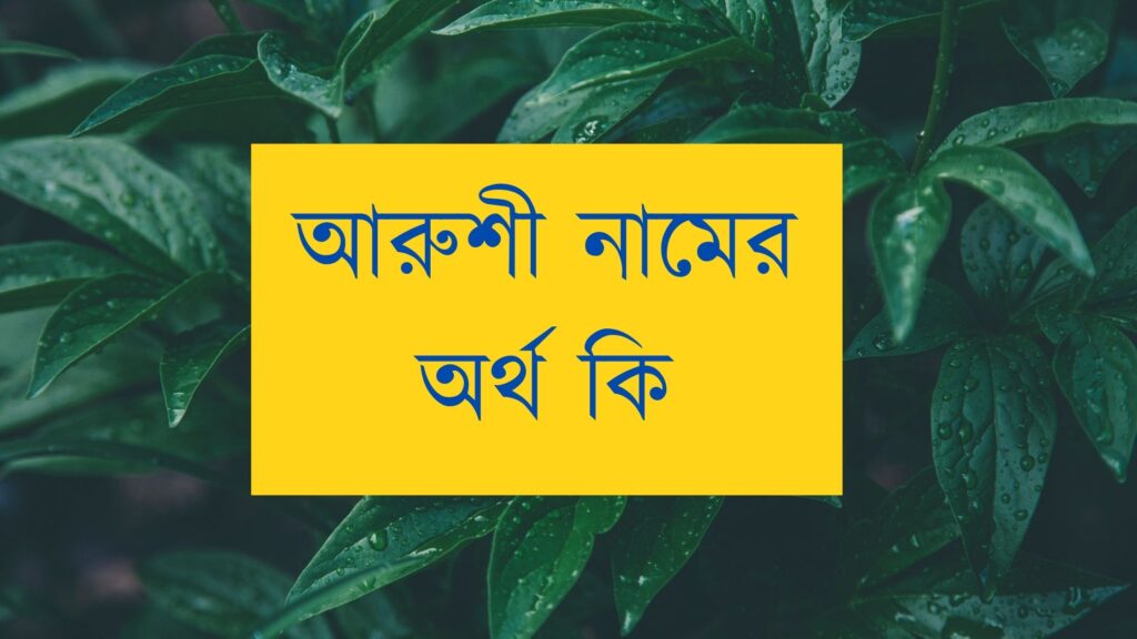 আরুশী নামের অর্থ কি, ভাষাভেদে নামটির অর্থ আলাদা - মার্কেট গ্লেম