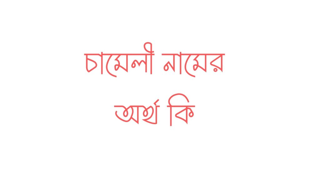 চামেলী নামের অর্থ কি