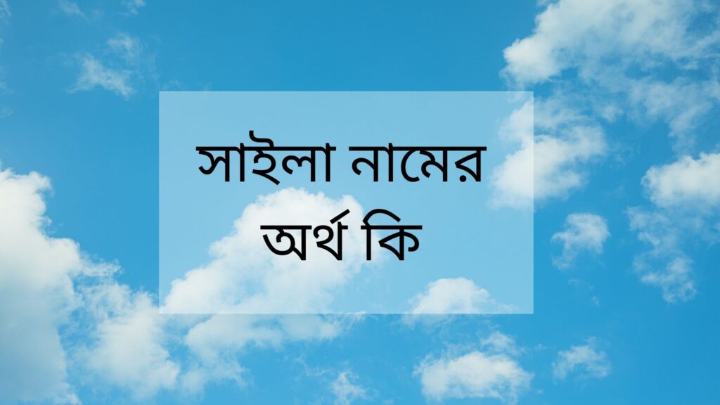 সাইলা নামের অর্থ কি