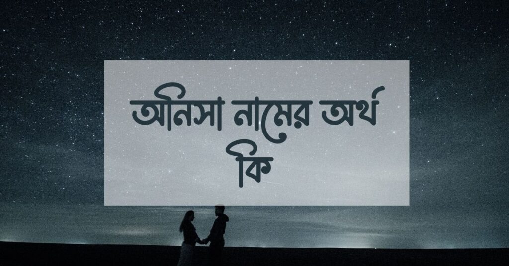 অনিসা নামের অর্থ কি