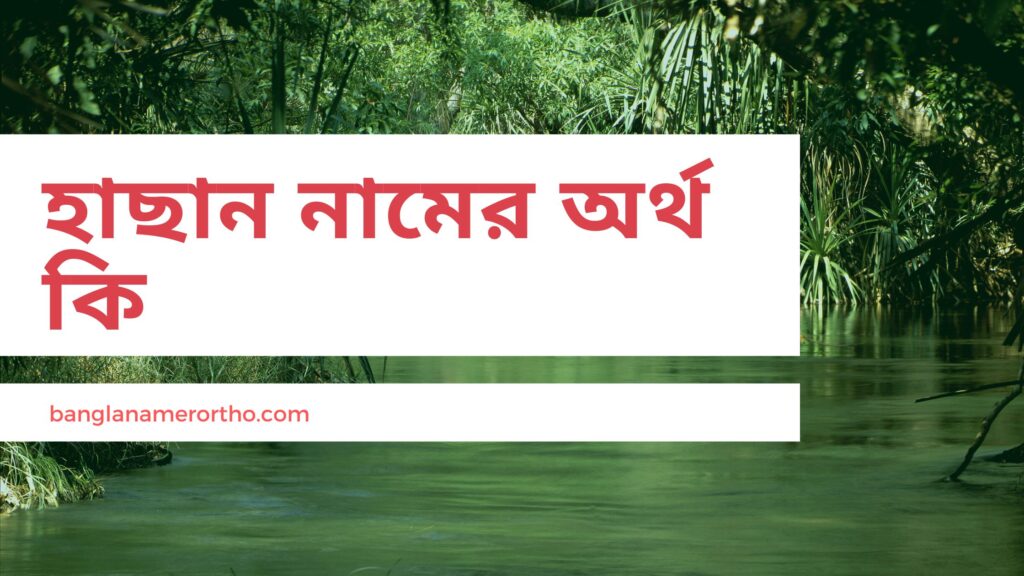 হাছান নামের অর্থ কি