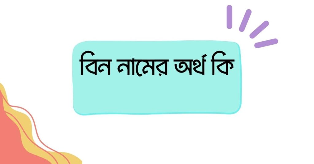 বিন নামের অর্থ কি ()