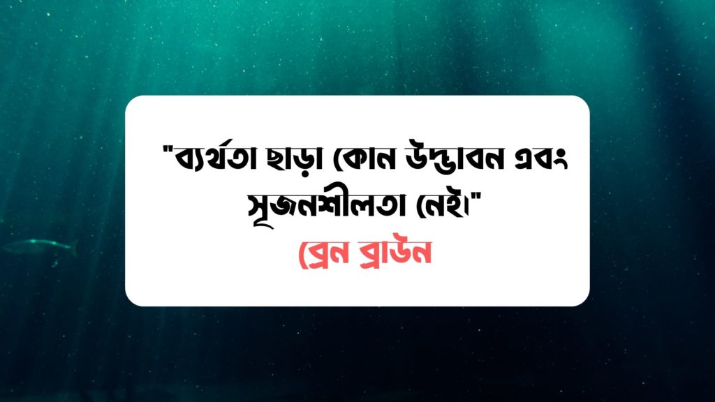 ব্যর্থতা থেকে সফলতার উক্তি