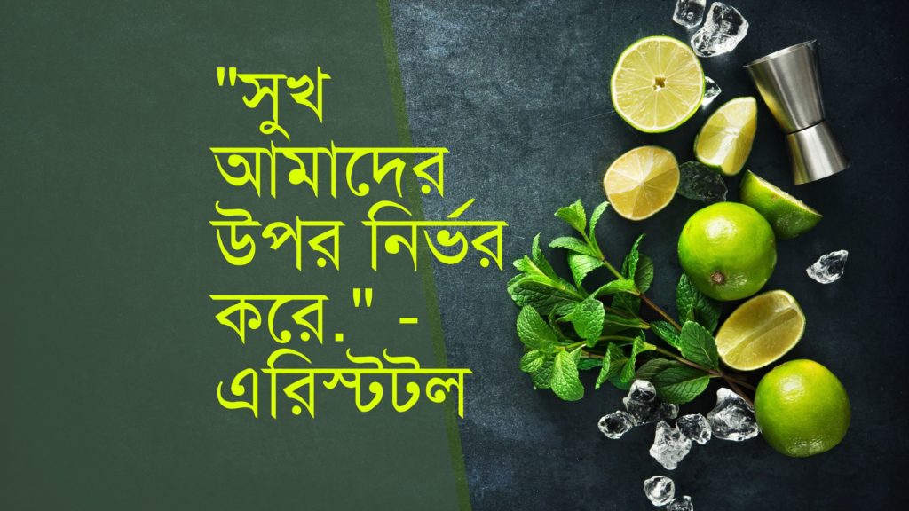 সুখ নিয়ে উক্তি