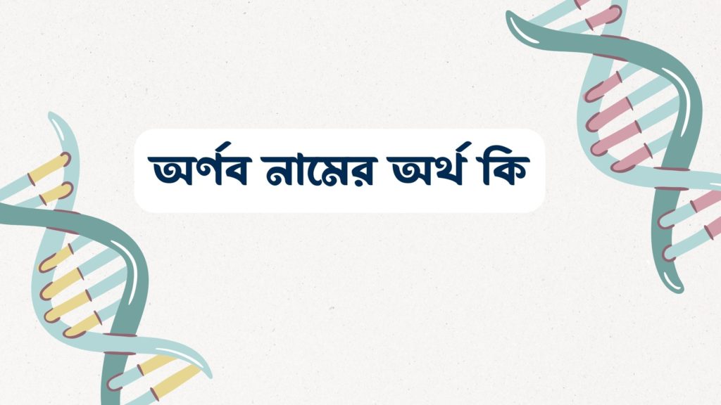 অর্ণব নামের অর্থ কি ()