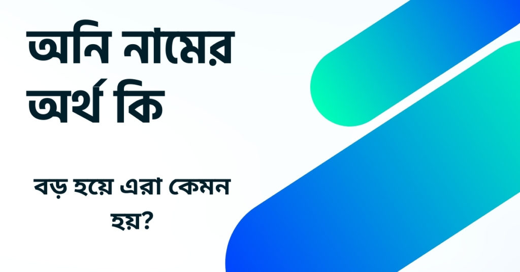 অনি নামের অর্থ কি ()