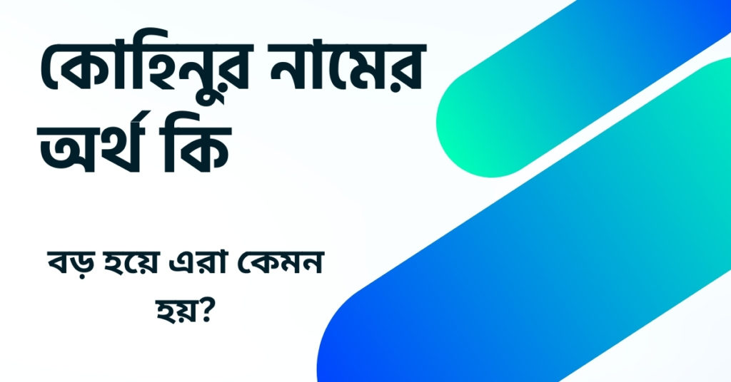 কোহিনুর নামের অর্থ কি ()